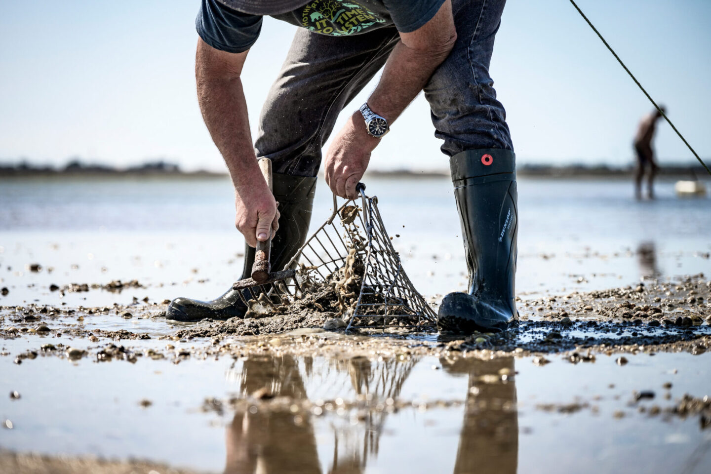 Pêche à pied