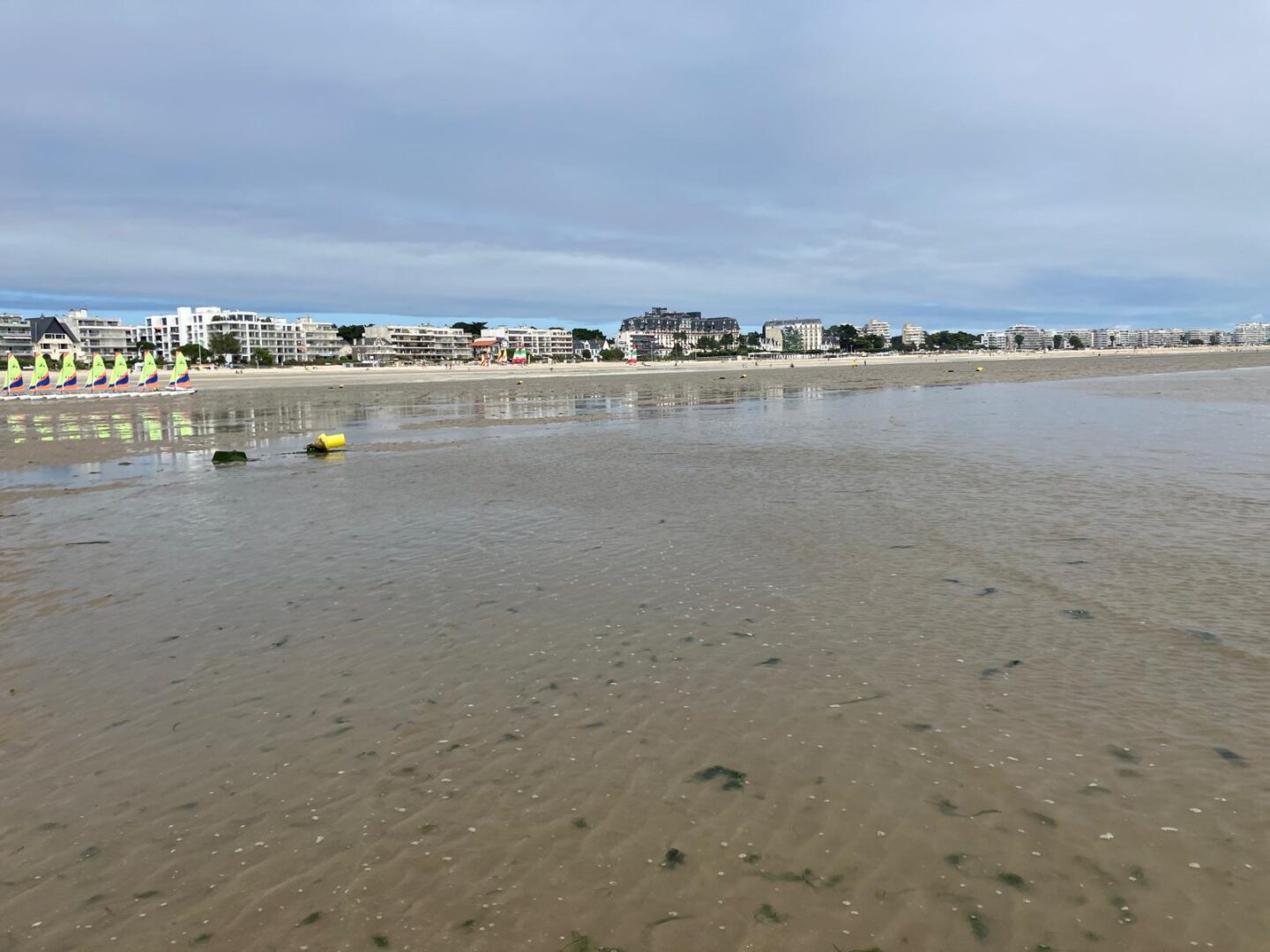 Suivi du gisement de coques à La Baule